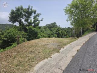 Terreno Carr. 348, Km. 5.7 Int. Bo. M...