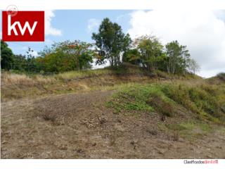 URB. COLINAS VIEW, TERRENO EN CAYEY