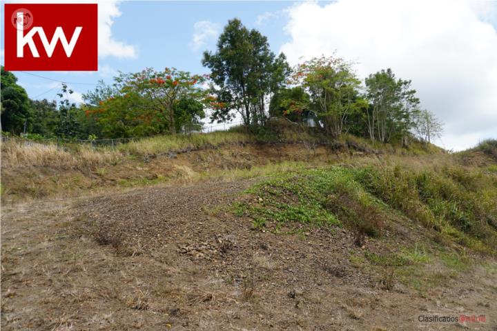 URB. COLINAS VIEW, TERRENO EN CAYEY