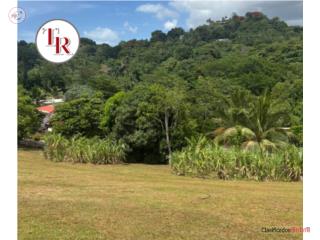 Terreno de una (1) cuerda en Guaynabo.