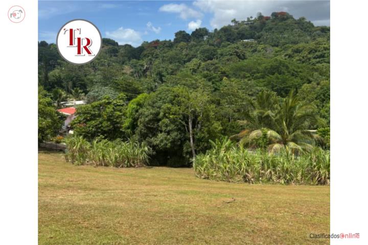 Lot in Rio, Guaynabo