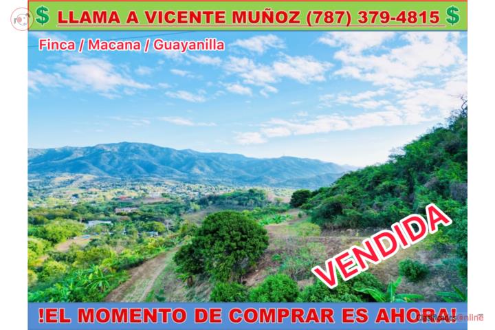 Farm in Macana, Guayanilla