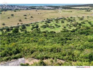 29 acres en venta en Guayama