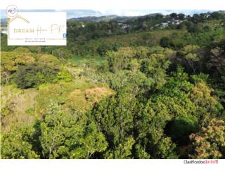 VENTA AGUADA- Espectacular terreno.