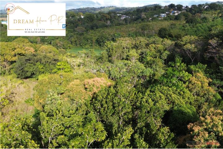 Lot in Cruces, Aguada
