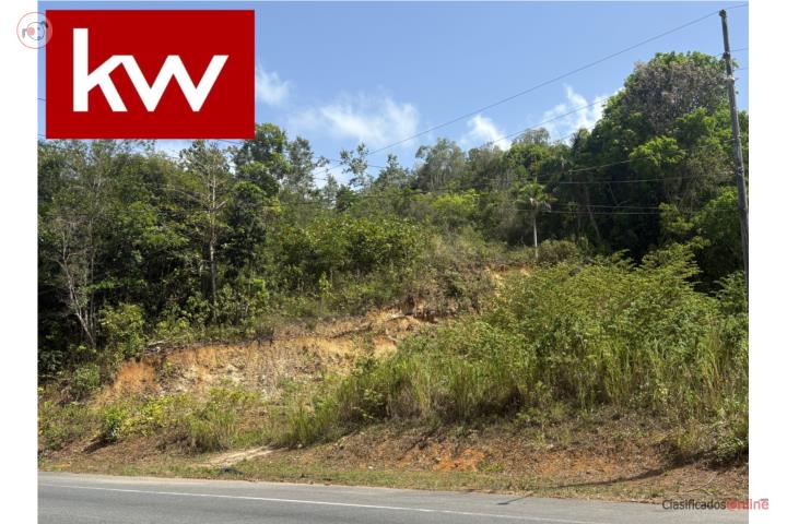 Lot in San Agustin, Florida
