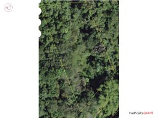 TERRENO EN VENTA – SANTA OLAYA, BAYAM...