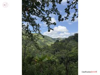 Finca 10.2 Cuerdas con electricidad y...
