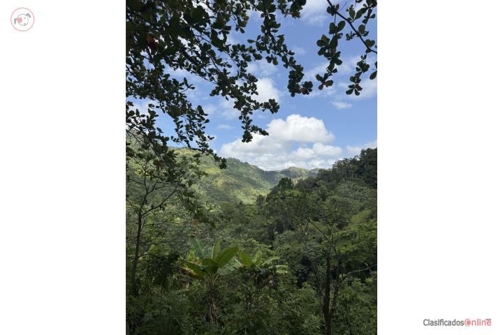 Finca 10.2 Cuerdas con electricidad y agua