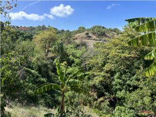 Finca con agua propia.