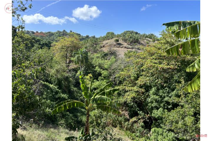 Farm in Rincon, Sabana Grande