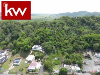 BO. COLLORES, SOLAR EN HUMACAO
