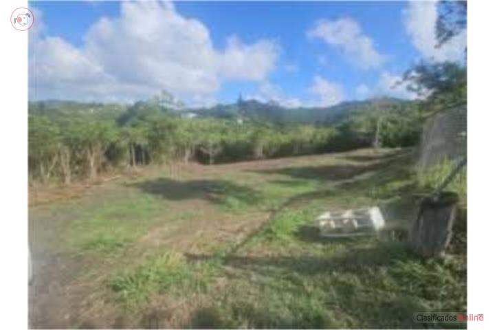 Farm in Campo Bello, Cayey