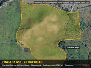 Pozo Hondo Finca 25 Cuerdas Guayama