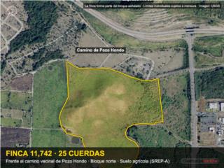 Pozo Hondo Finca 25 Cuerdas Camino Ve...