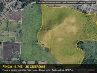 Pozo Hondo Finca Agricola 25 Cuerdas ...