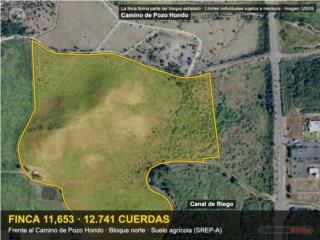Pozo Hondo Finca 12.7 Cuerdas Guayama