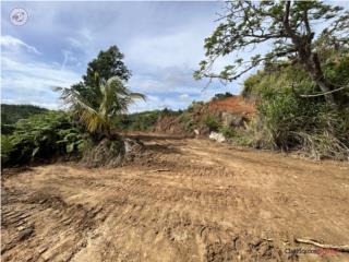 Finca llevadera con tope de montaña
