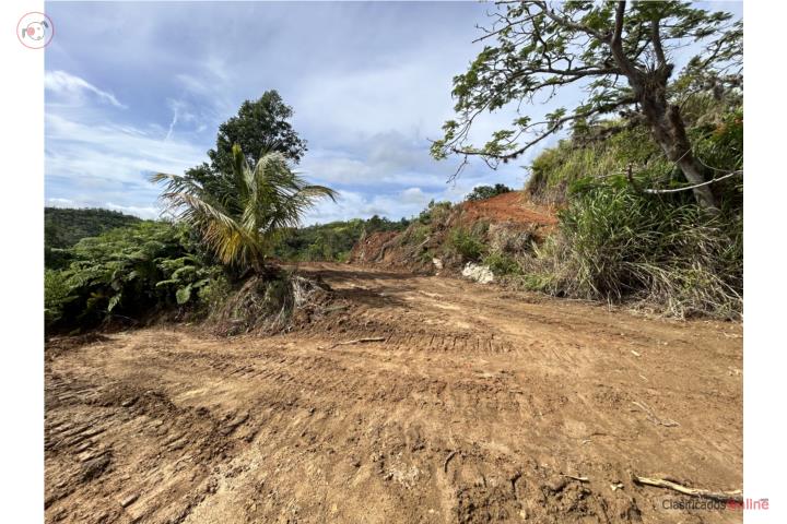 Farm in Rio Prieto, Lares