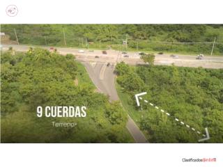 9 CUERDAS PARA DESARROLLO COMERCIAL