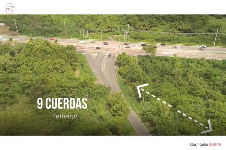 9 CUERDAS PARA DESARROLLO COMERCIAL