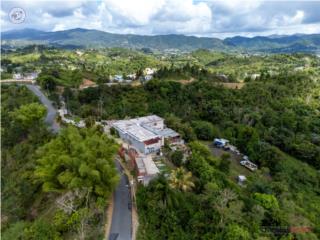 Centro Envejecientes Ederly Home