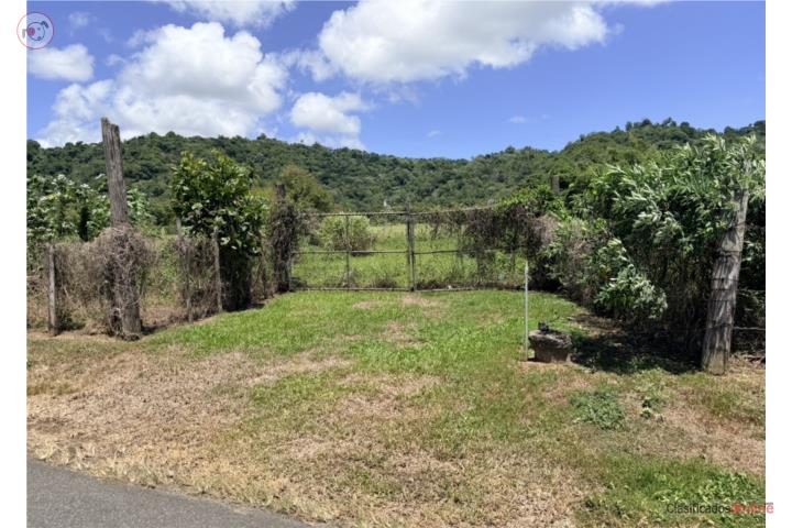 Farm in Limones, Yabucoa