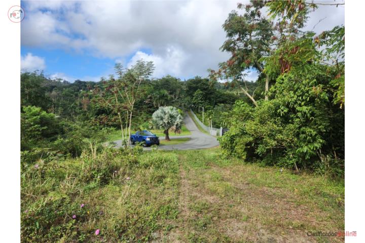 finca 24 cuerdas urb l a esmeralda