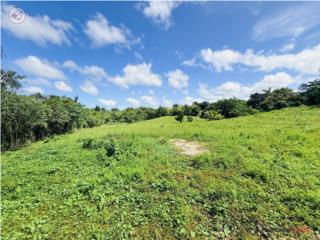 Finca de 3 Cuerdas, PR 129, Bayaney