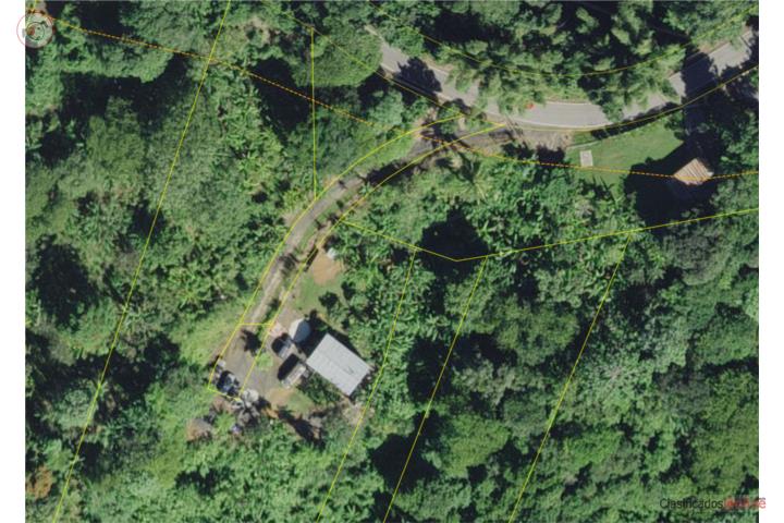 Farm in La Pica, Jayuya