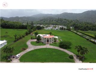 ESTANCIAS DE BEATRIZ, CAYEY (5 Cuerda...