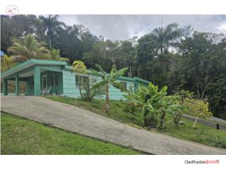 BEATRIZ / GUAVATE CAYEY - DOS CASAS