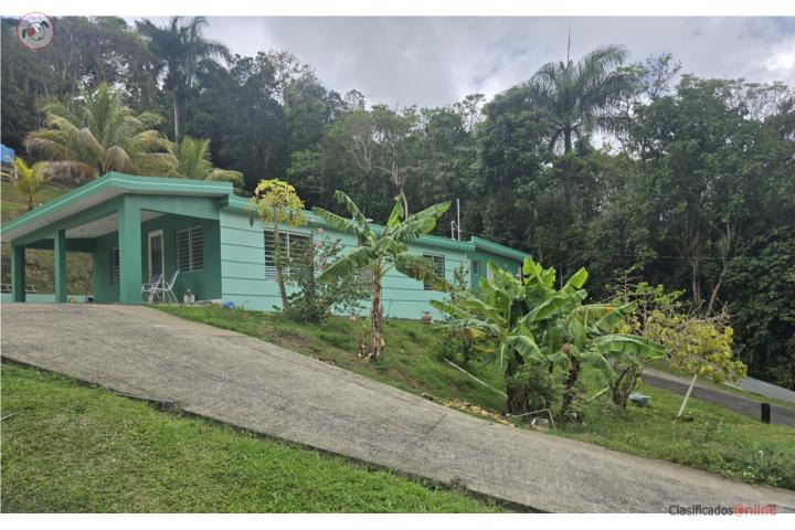 House in Beatriz, Cayey