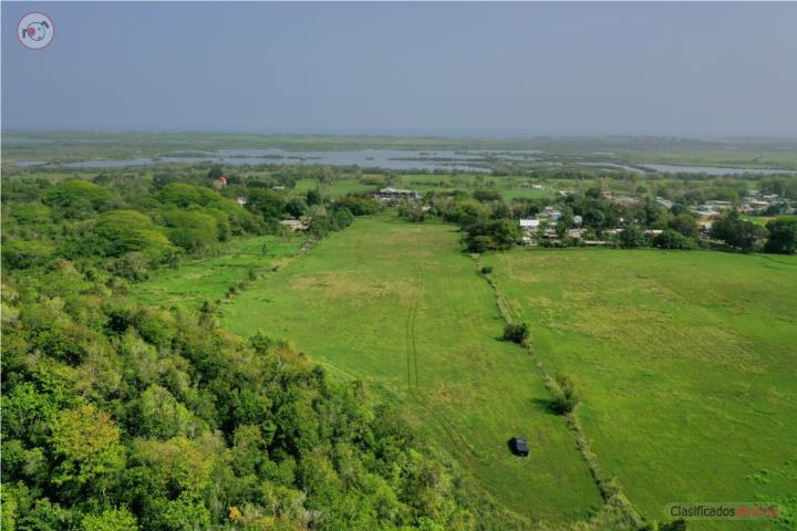 Farm in Garrochales, Arecibo