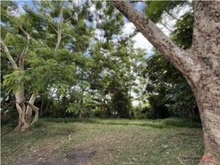 1,446 m² Lot on Main Road in Añasco