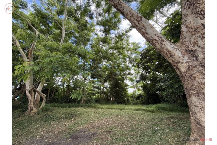1,446 m² Lot on Main Road in Añasco