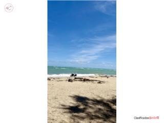 Bello apartamento de playa!