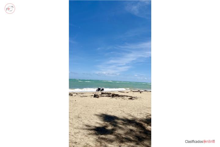 Apartment in Malibu Beach, Loíza