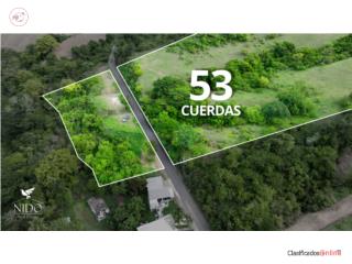 SE VENDE FINCA DE 53 CUERDAS EN COAMO...