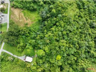 5 Acres with Endless Potential