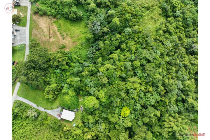 5 Acres with Endless Potential