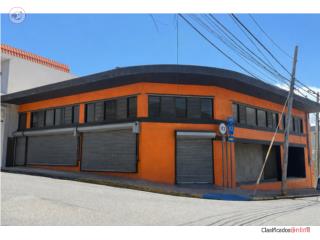 EDIFICIO COMERCIAL EN ISABELA
