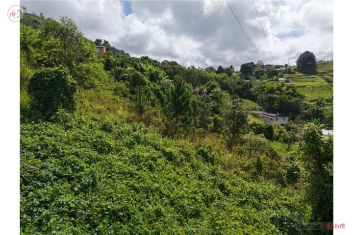 Lot in Canabon, Barranquitas