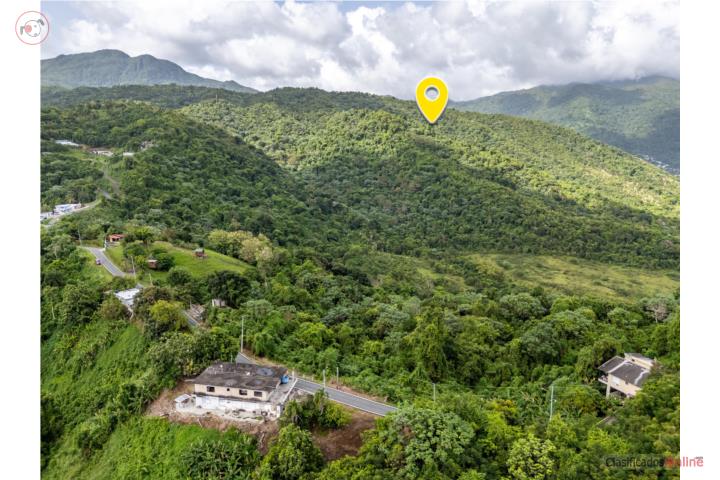 TERRENO DE 81.17 CUERDAS EN BO. RÍO BLANCO