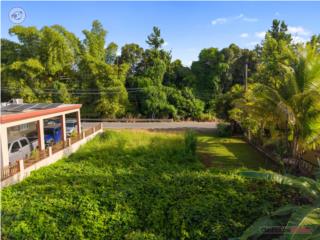 Lot For Sale in Mayagüez