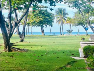 Vista al mar! Garden