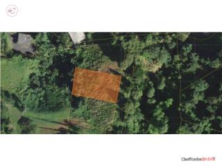 BEAUTIFUL LAND FOR SALE – CANÓVANAS, ...