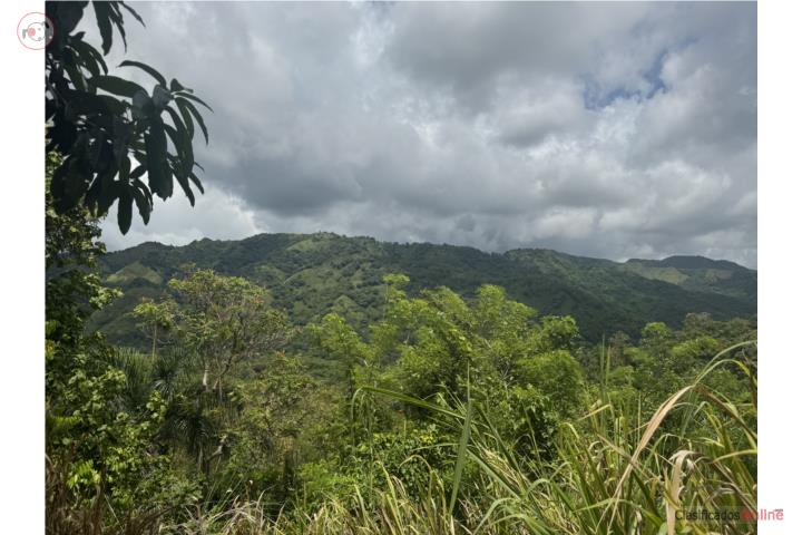 Farm in Rancheras, Yauco