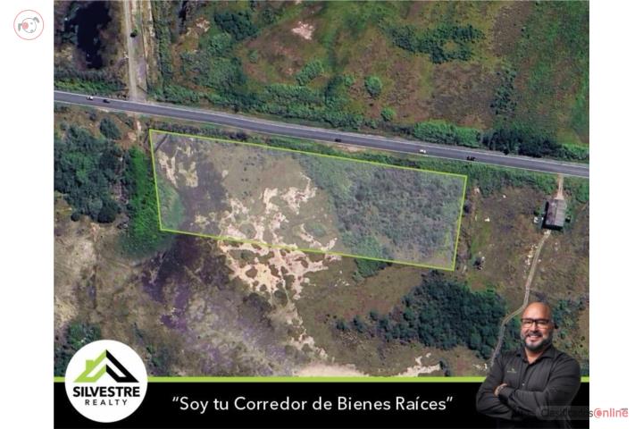 Espectaculares 5 cuerdas en Juana Díaz