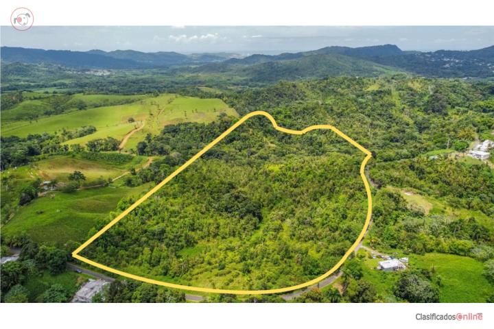 Farm in Rio Abajo, Ceiba